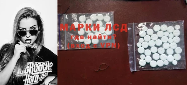 прущие грибы Заволжск