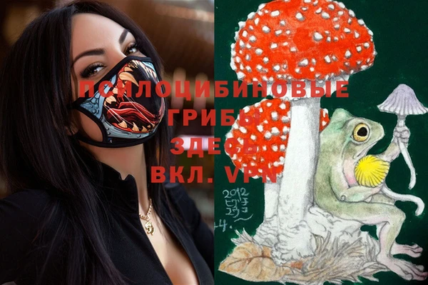 спиды Заволжье