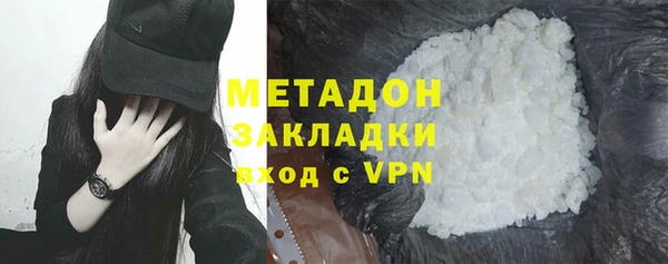 прущие грибы Заволжск