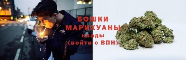прущие грибы Заволжск