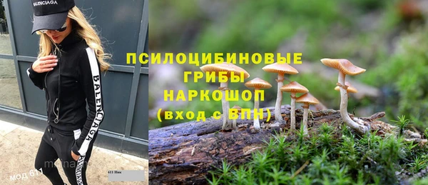 прущие грибы Заволжск