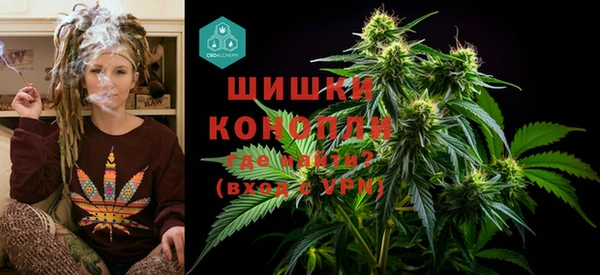 прущие грибы Заволжск