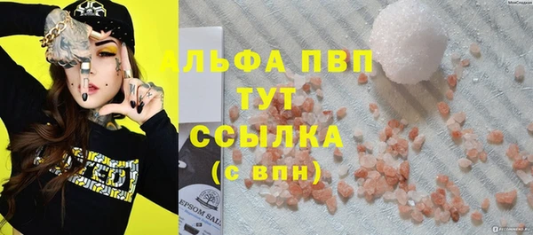 прущие грибы Заволжск