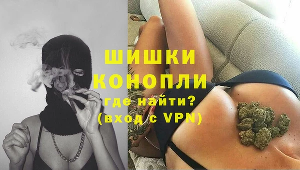 прущие грибы Заволжск