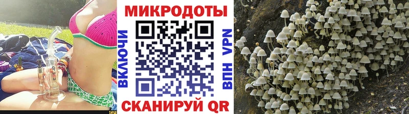 Галлюциногенные грибы GOLDEN TEACHER  Свободный 