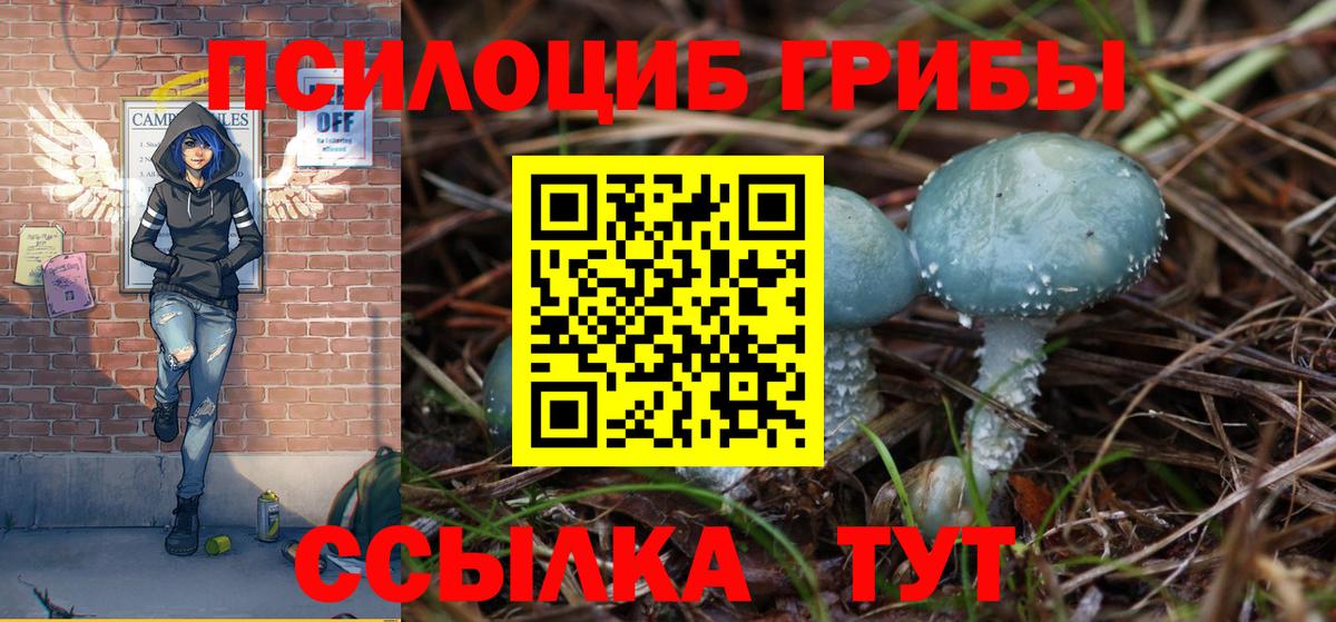 Псилоцибиновые грибы ЛСД Свободный